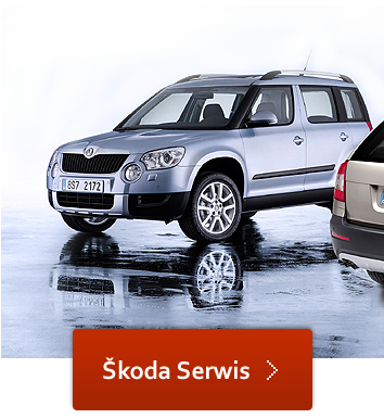 Škoda Serwis